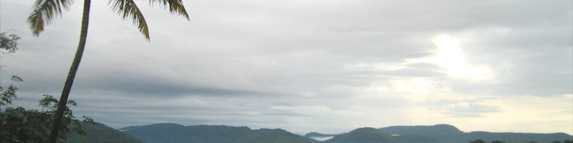 A palm tree, a valley, and distant mountains under a cloudy sky.