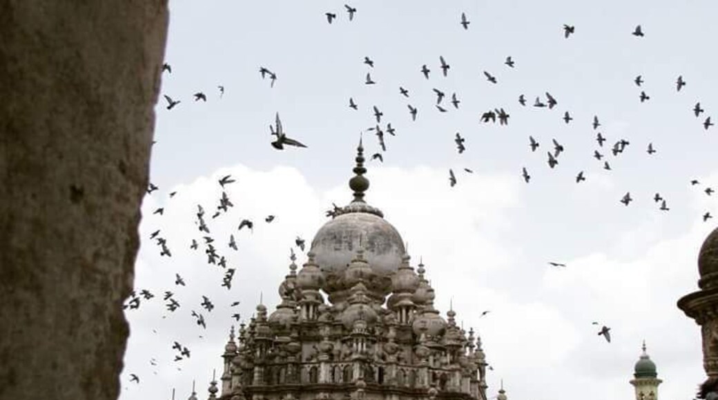 The best of earth can be seen through the tiniest of cracks.
I took this photo from a tiny window in one of the minars and the birds came flying in at that very instant and added drama to the beautiful Tomb. The sultry skies of the monsoon had their share of play in making it perfect.
#InsideTravellersShoes