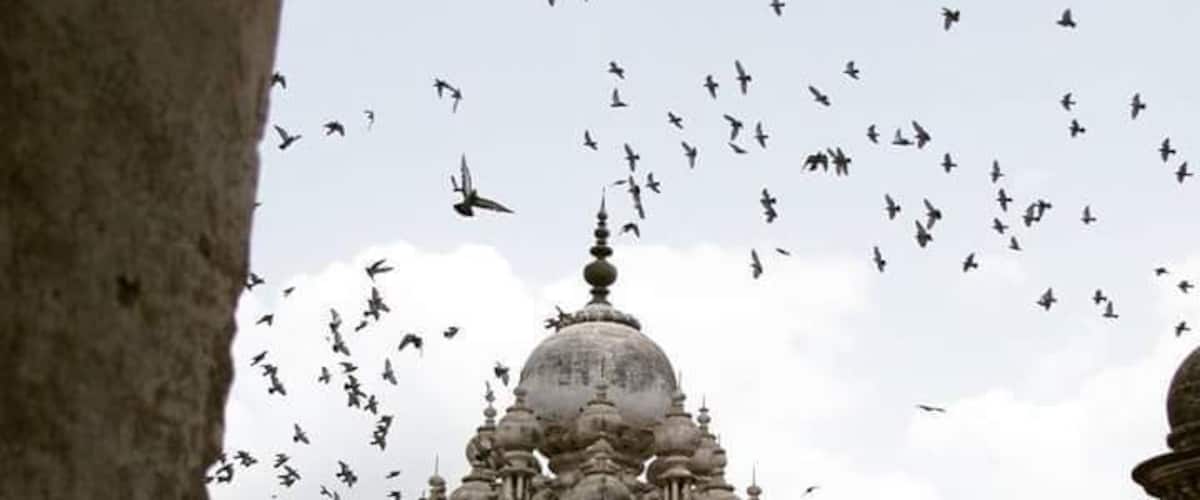 The best of earth can be seen through the tiniest of cracks. 
I took this photo from a tiny window in one of the minars and the birds came flying in at that very instant and added drama to the beautiful Tomb. The sultry skies of the monsoon had their share of play in making it perfect.
#InsideTravellersShoes