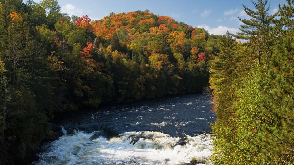 A river flowing through a forest with autumn-colored trees.