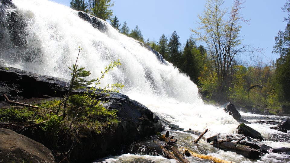 A waterfall cascading over rocks in a forested area.