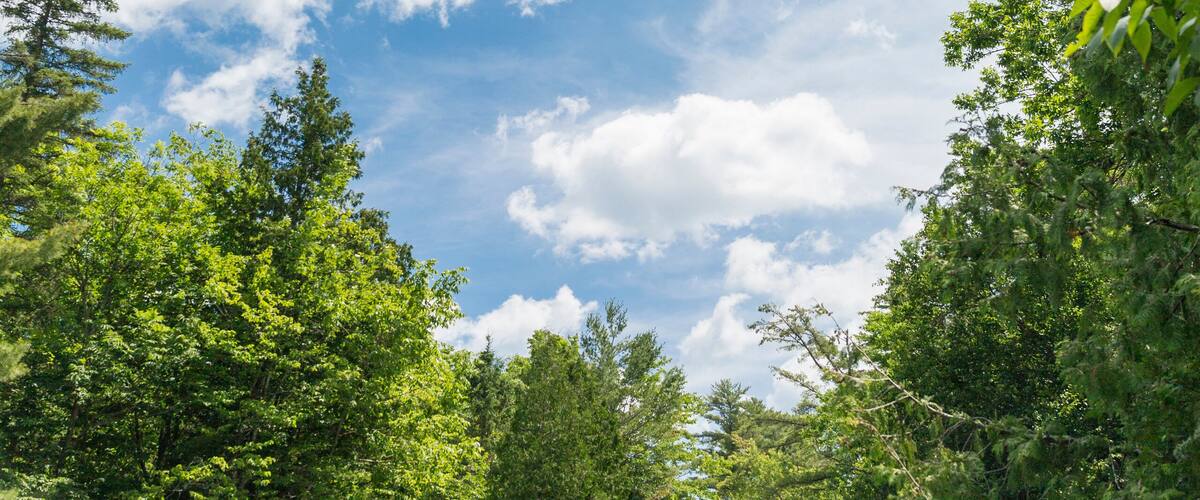 A waterfall surrounded by lush greenery and a partly cloudy sky.