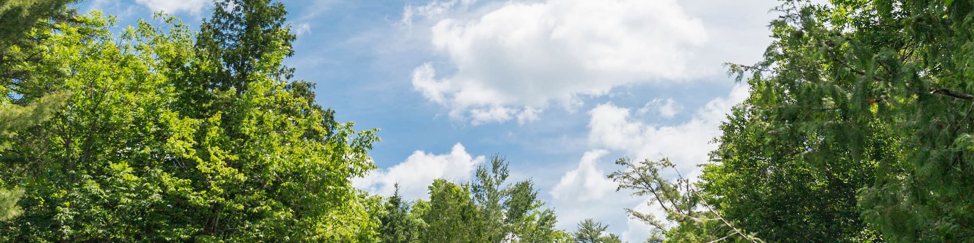A waterfall surrounded by lush greenery and a partly cloudy sky.