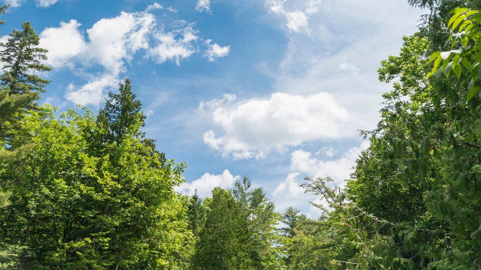 A waterfall surrounded by lush greenery and a partly cloudy sky.