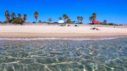 A beach with clear water, palm trees, and people relaxing on the sand.