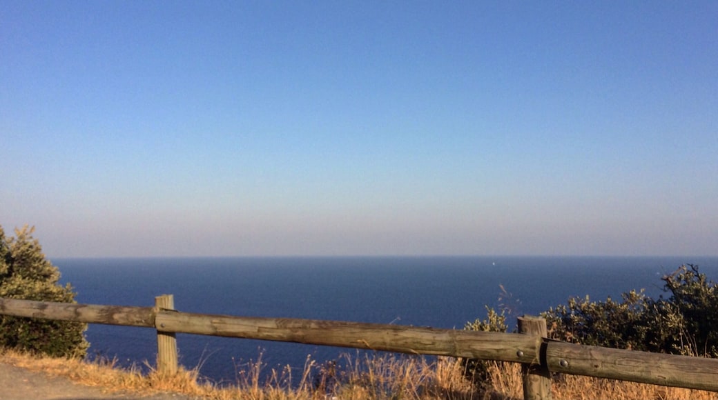 View from the hilly part of Cavalaire-sur-Mer. The combination of pristine beach plus the mountains makes this side of France 'crème de la crème.'