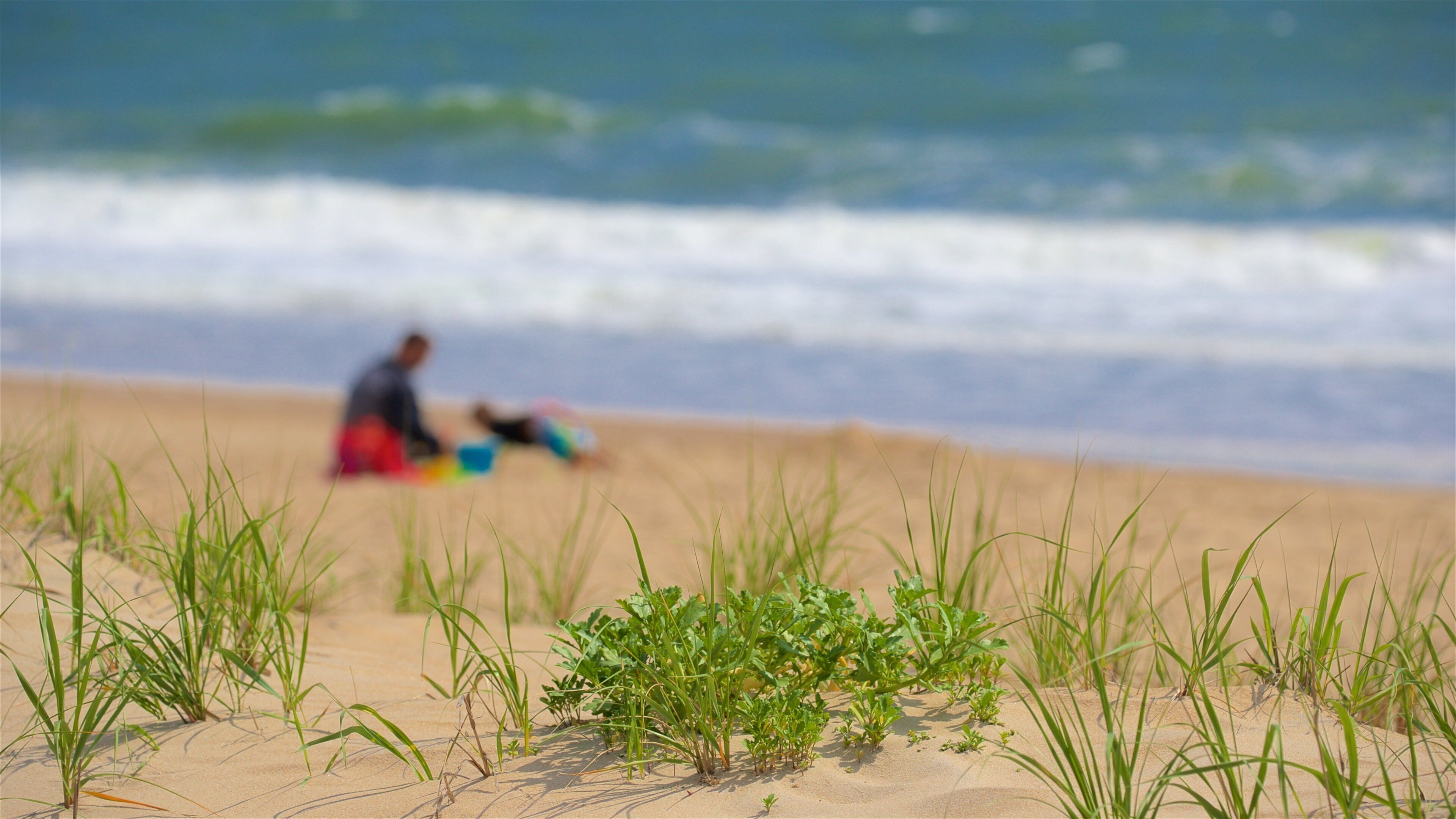 Bethany Beach showing a beach and general coastal views