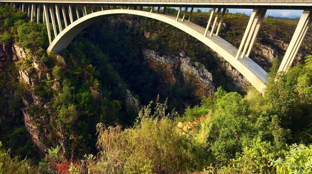 There are a lot of bridges along the #gardenroute