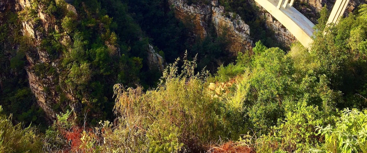 There are a lot of bridges along the #gardenroute