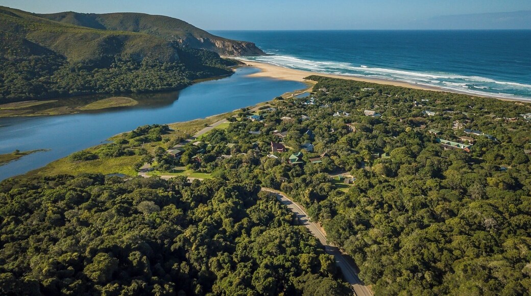 #dji #mavickpro view of the #Tsitsikamma #forest and ocean. #mountains #forest #ocean all present. Lots of outdoor adventures to experience here