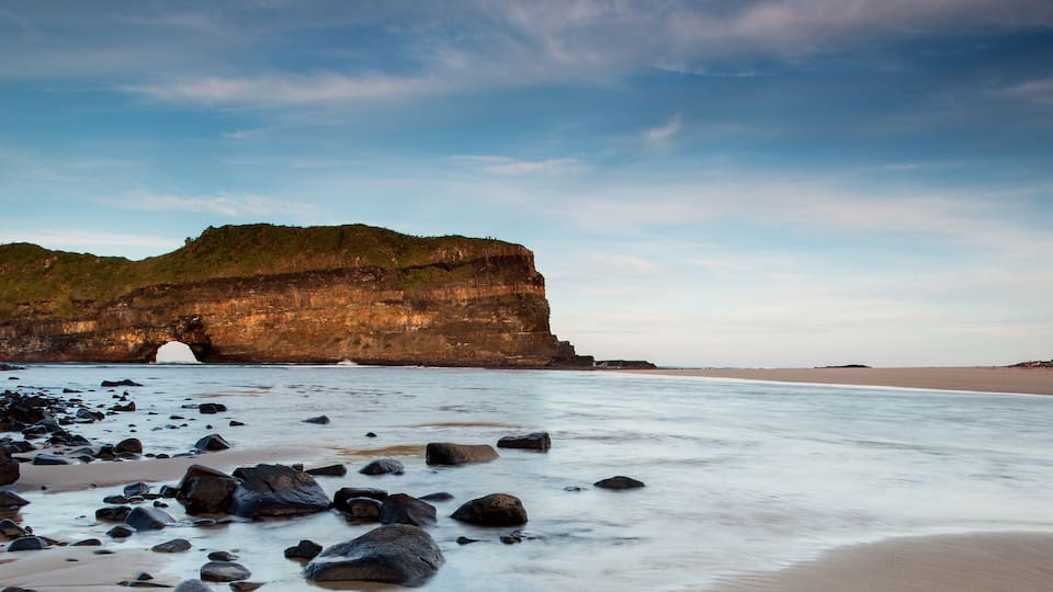 A rocky beach with a large rock formation and a tree.