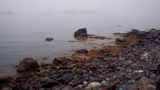 I loved the rugged coast of Newfoundland. we went out to see puffins. #Maritimes #birdwatching