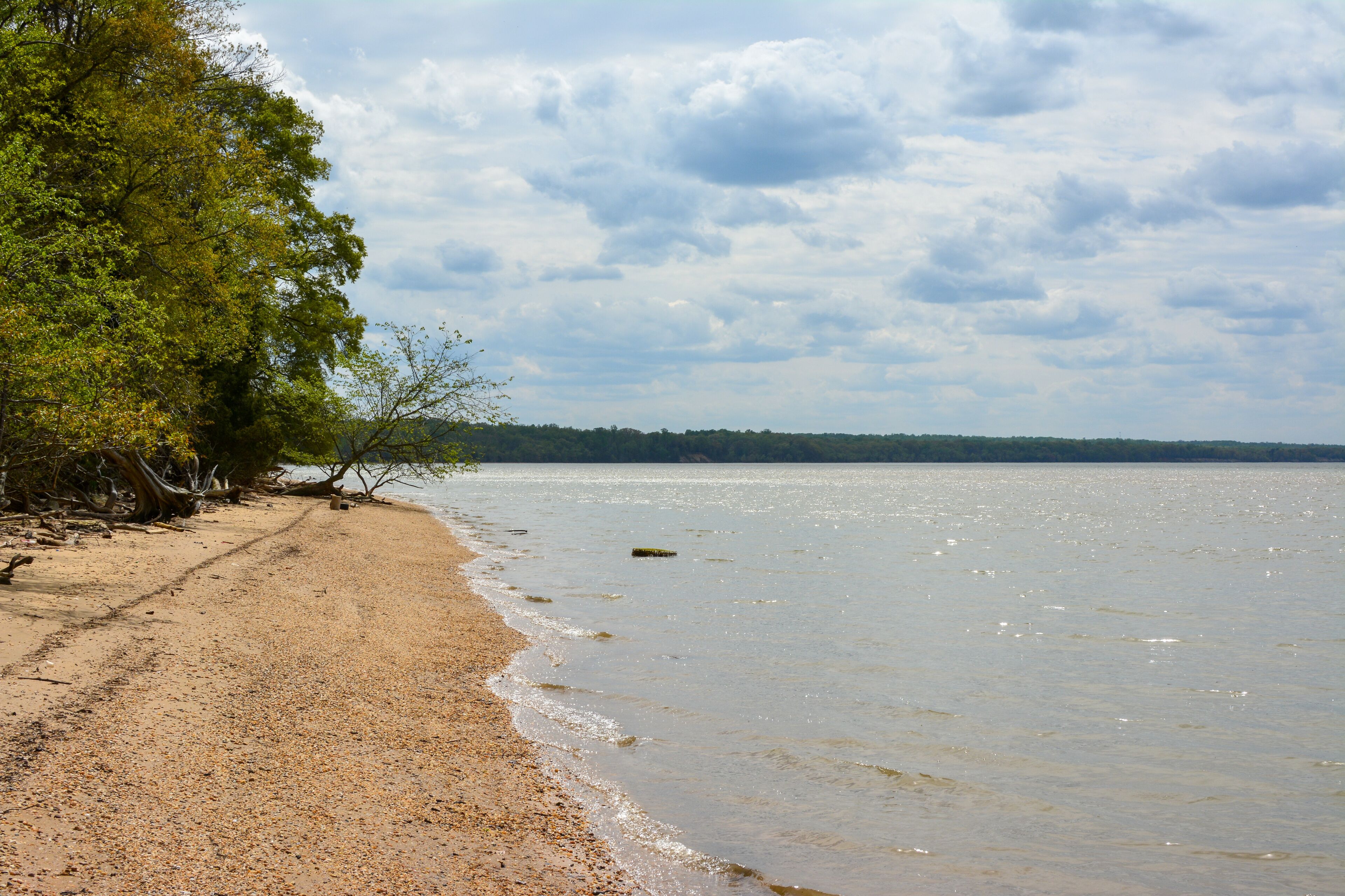 Beach along the Potomac River in Caledon State Park on Virginia's Northern Neck.