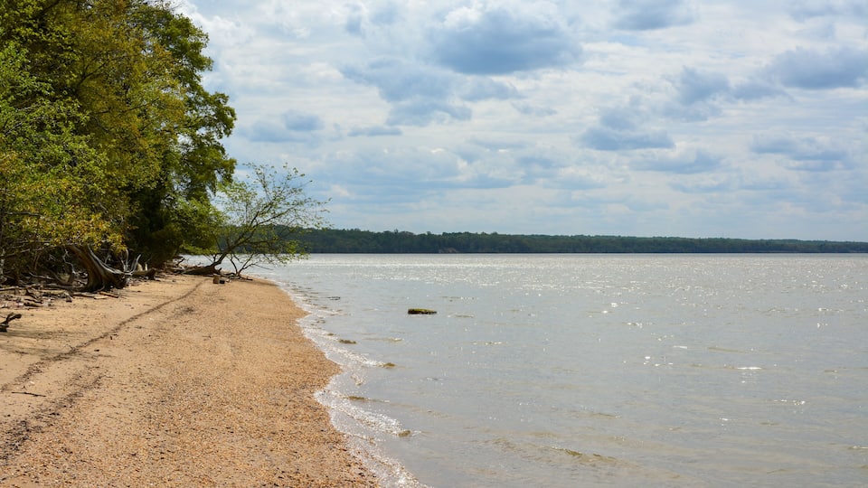A pebbly beach with trees and a calm lake under a cloudy sky.