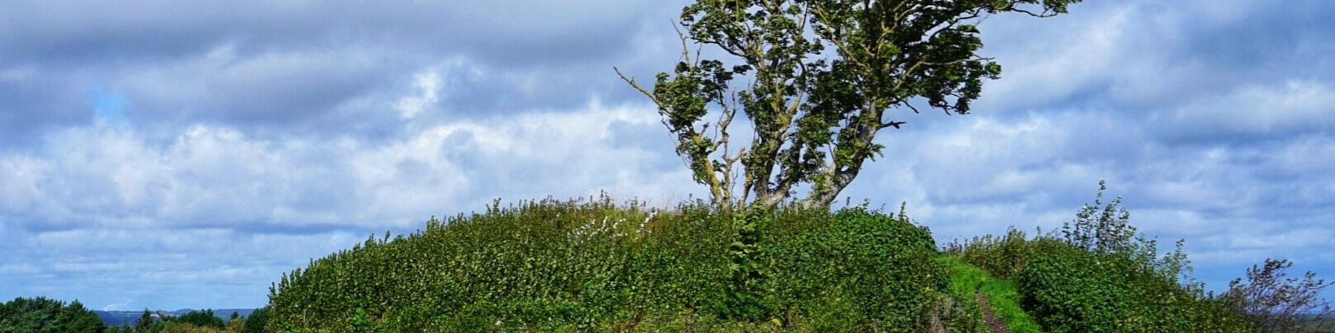 A rural landscape with a prominent tree on a grassy mound, a path leading through the field, and a cloudy sky.