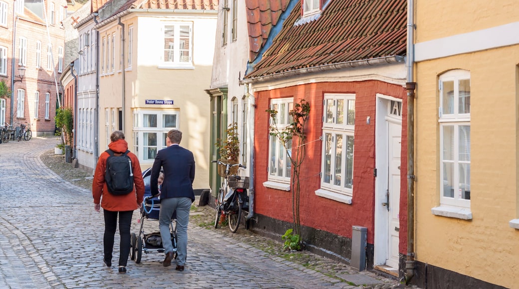 Ribe old village in Denmark.
