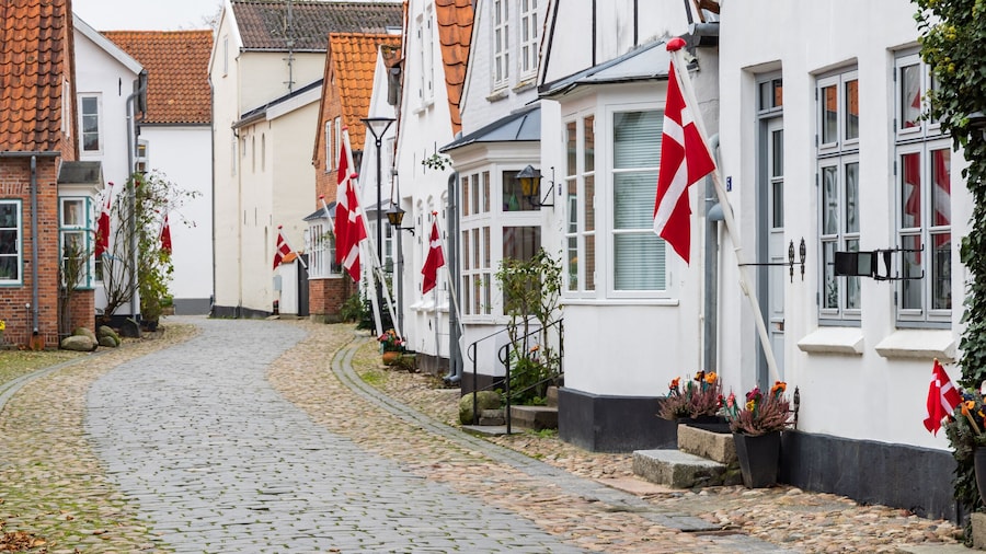 Cityscape of picturesque hanseatic village Tonder in Southern Denmark