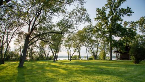 Evening in Phantom Glen Park, Mukwonago, Wisconsin, USA