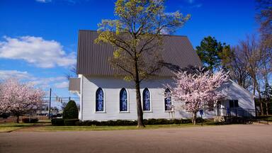 Oakland White Church