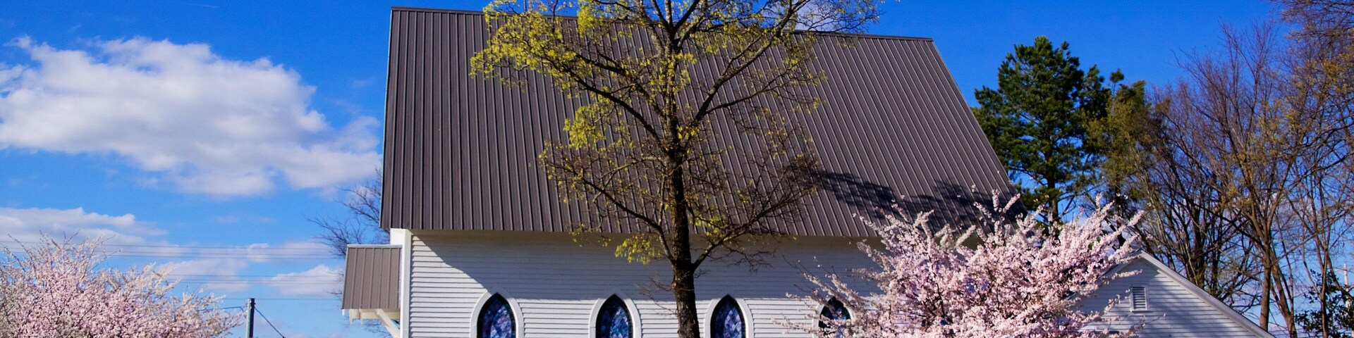 A white church with a modern design, a large tree in front, and a clear blue sky.