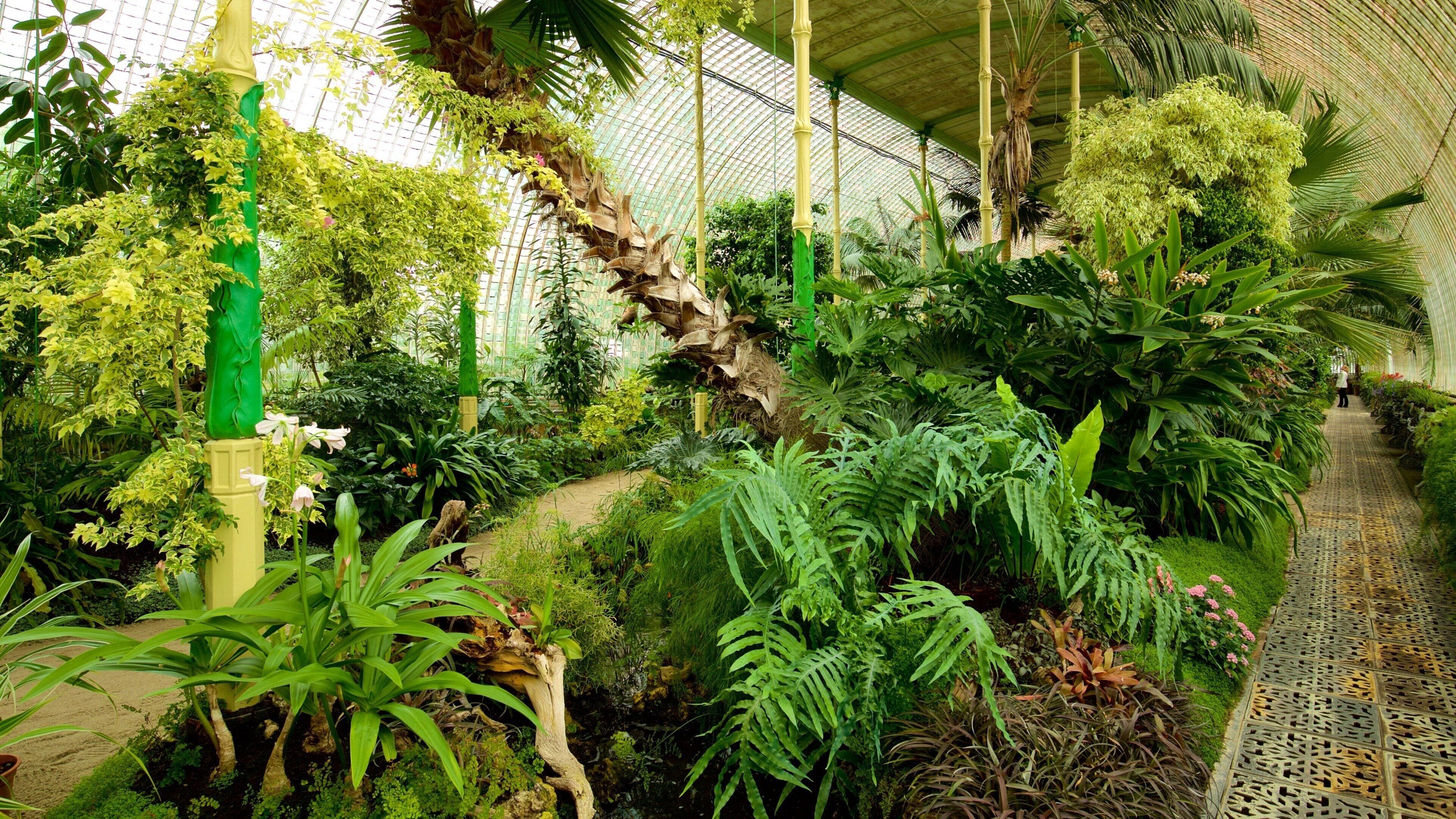 Lednice featuring a park