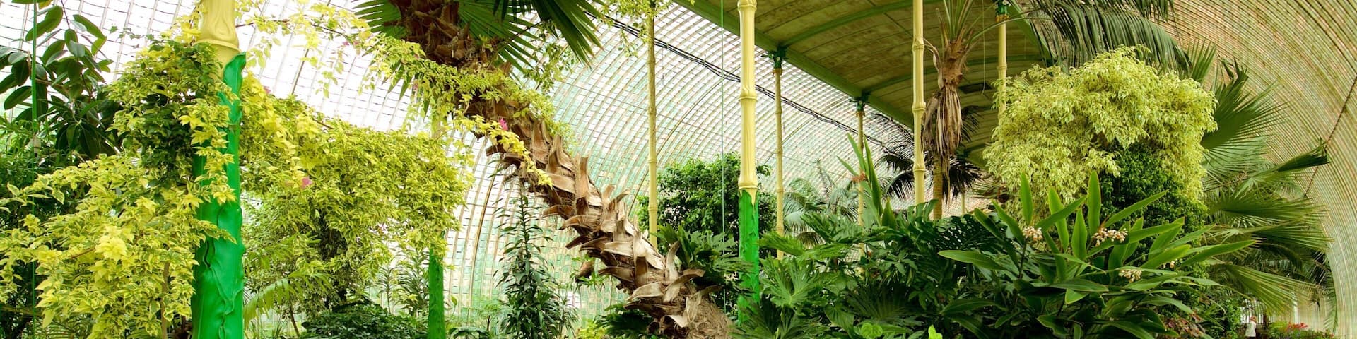 Lednice featuring a park