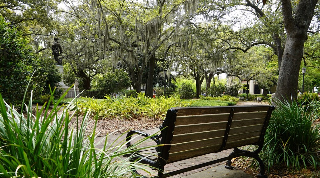 Peaceful bench in Chippewa Square, in Savannah Georgia