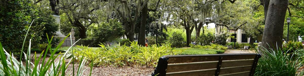 Peaceful bench in Chippewa Square, in Savannah Georgia