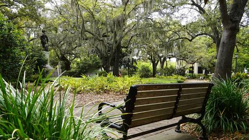 Peaceful bench in Chippewa Square, in Savannah Georgia