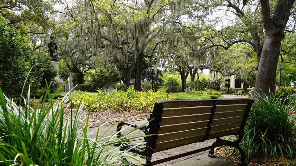 Peaceful bench in Chippewa Square, in Savannah Georgia