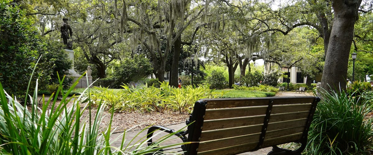 Peaceful bench in Chippewa Square, in Savannah Georgia