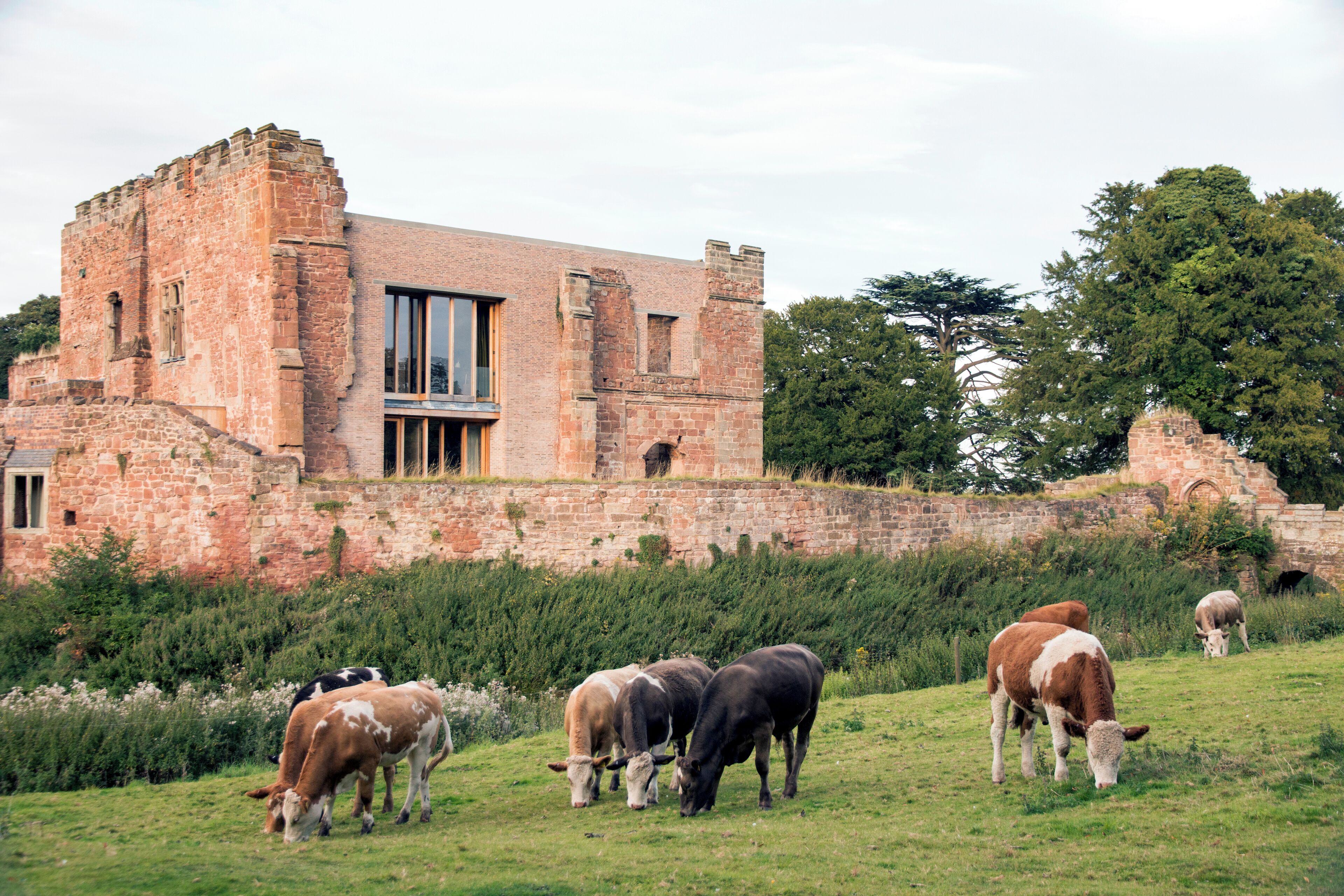 A historic stone building with a grassy field and cows grazing in front.