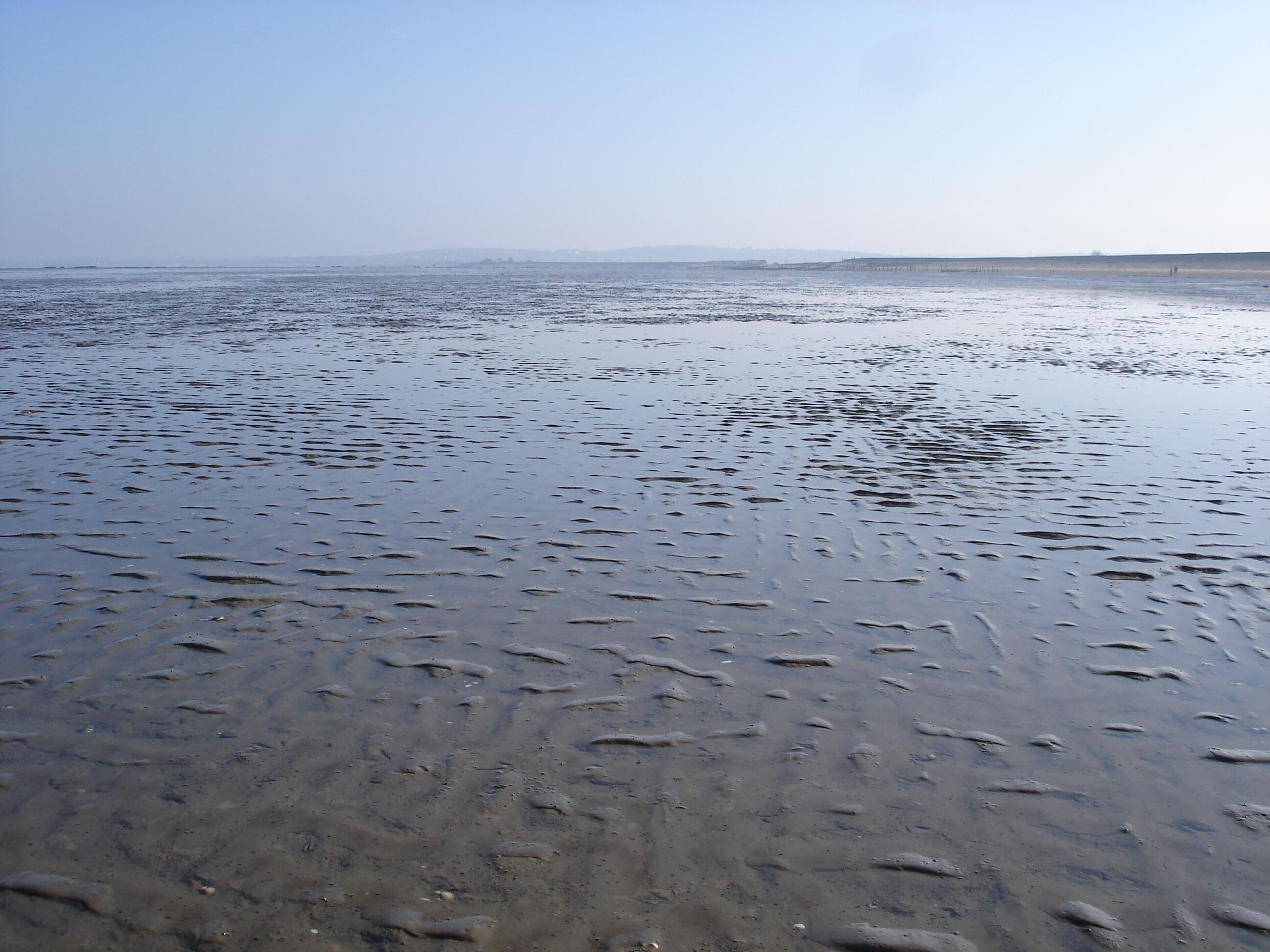 View to the east from the SW corner of this grid square
