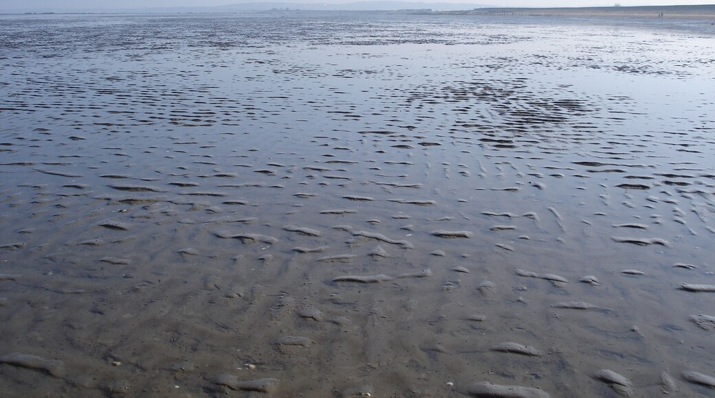View to the east from the SW corner of this grid square