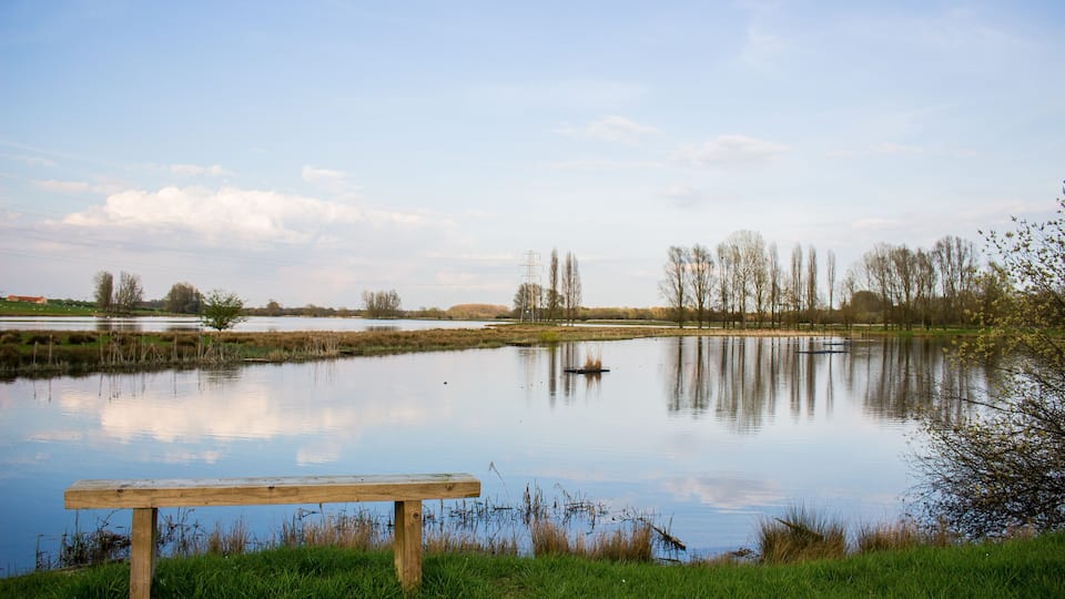 A calm lake with a wooden bench in the foreground, surrounded by grassy banks and trees.