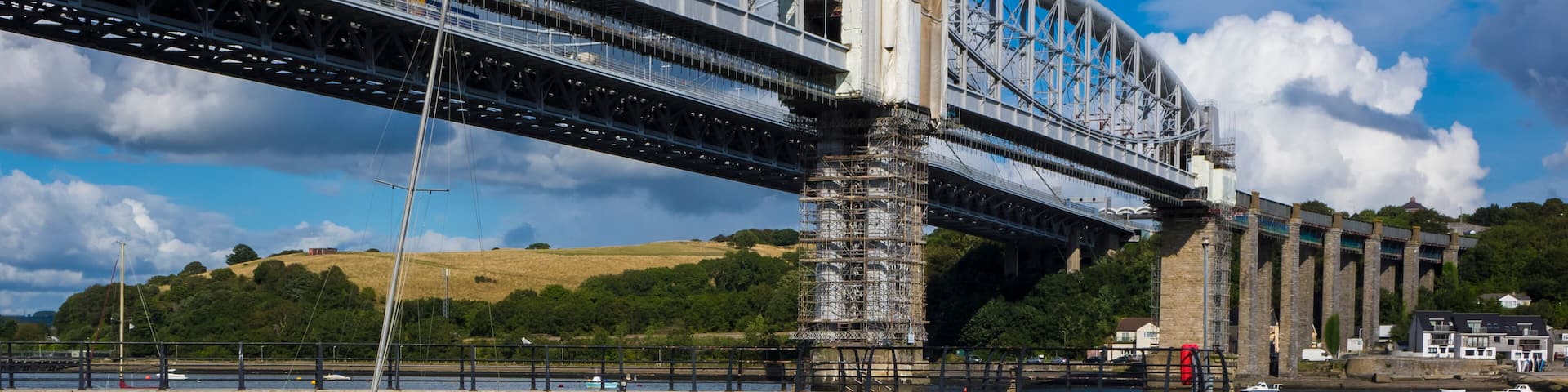 Swans Saltash Cornwall England UK