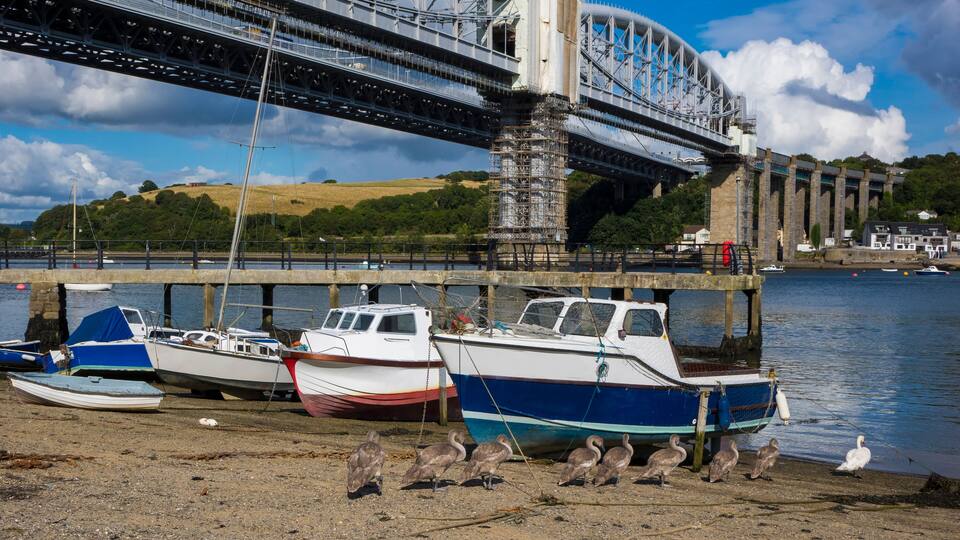 Boats docked at a pier with a bridge in the background.