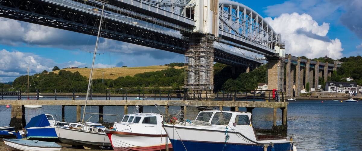 Swans Saltash Cornwall England UK