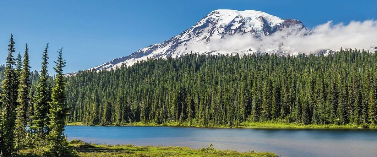 Mt. Ranier is an incredibly popular place - the downside though is every viewpoint can often be saturated with tourists. In this case we stopped a couple hundred yards before the main viewpoint and had it mostly to ourselves.
Finding tranquil moments in busy National Parks can be difficult but is totally worth it!
#NationalPark