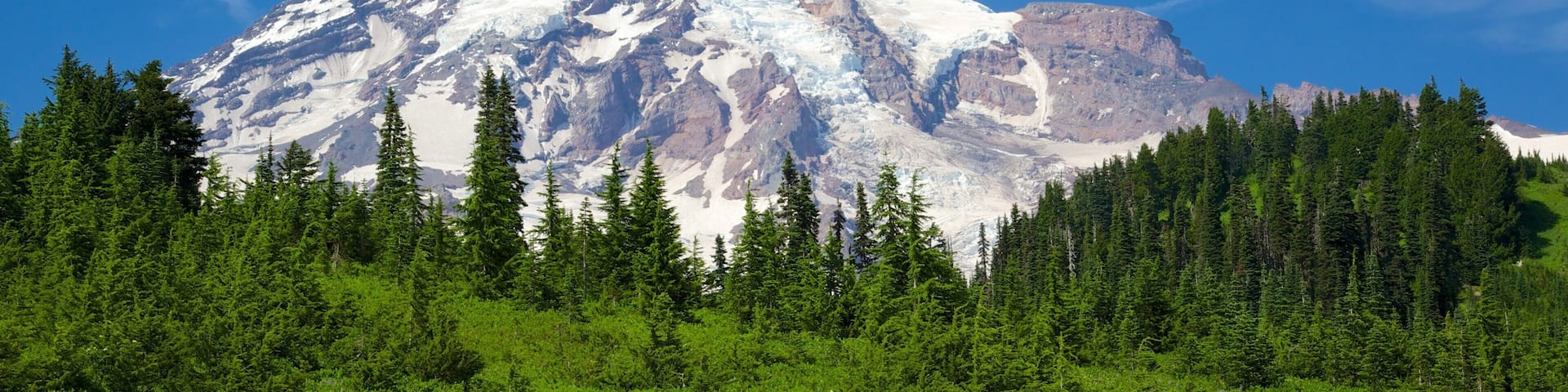 Paradise showing mountains