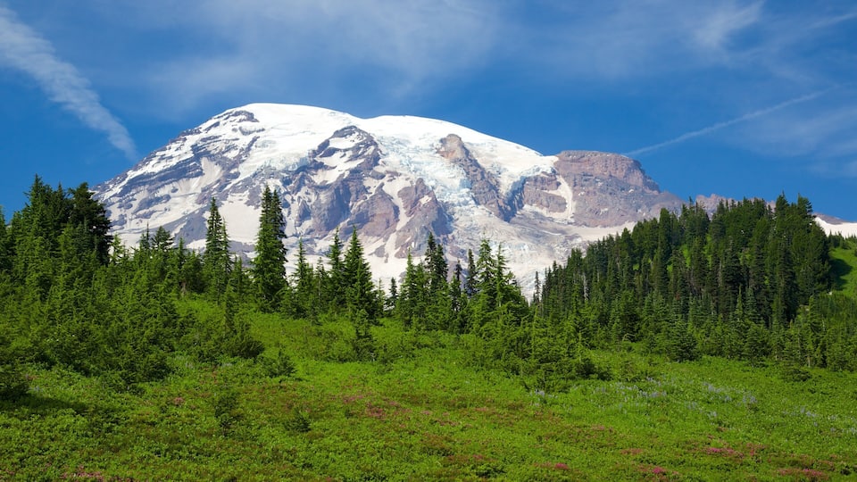 A snow-capped mountain with a forested foreground.
