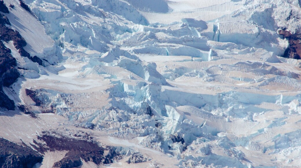 Paradise which includes snow