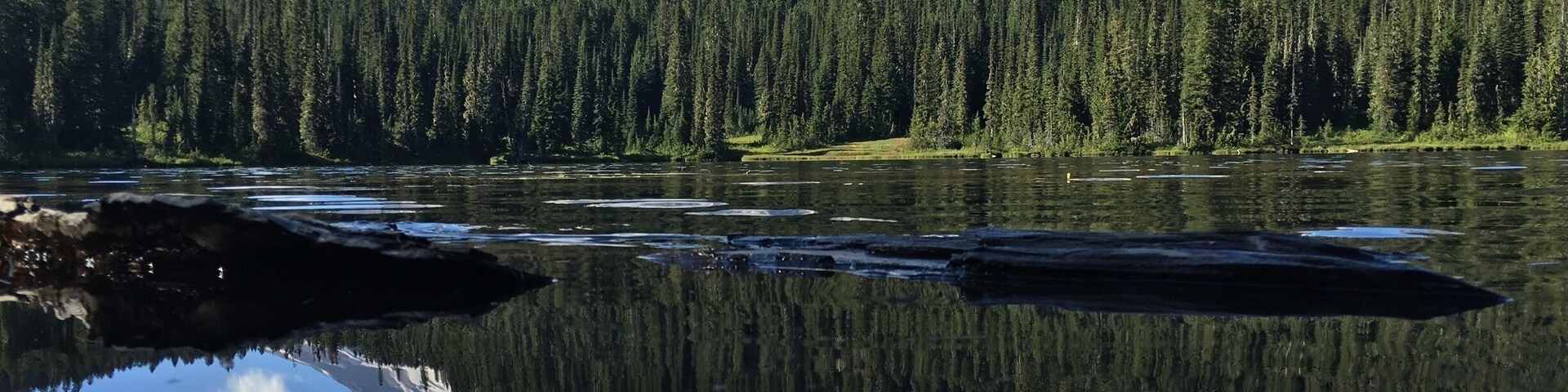 Mt. Rainier from reflection lake.