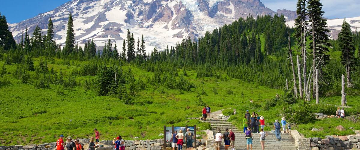 Paradise which includes mountains as well as a large group of people