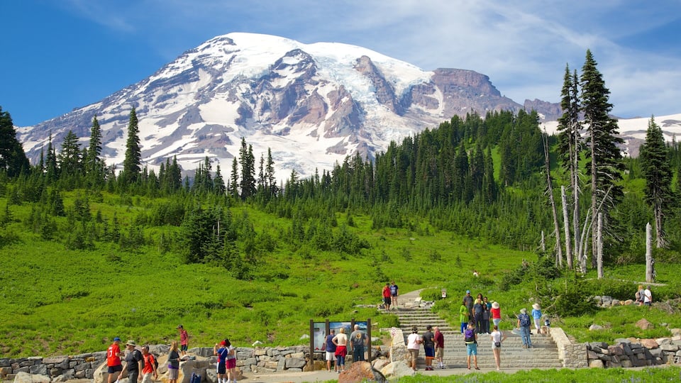 A mountain with snow patches, a green forest, and a stone staircase with people.