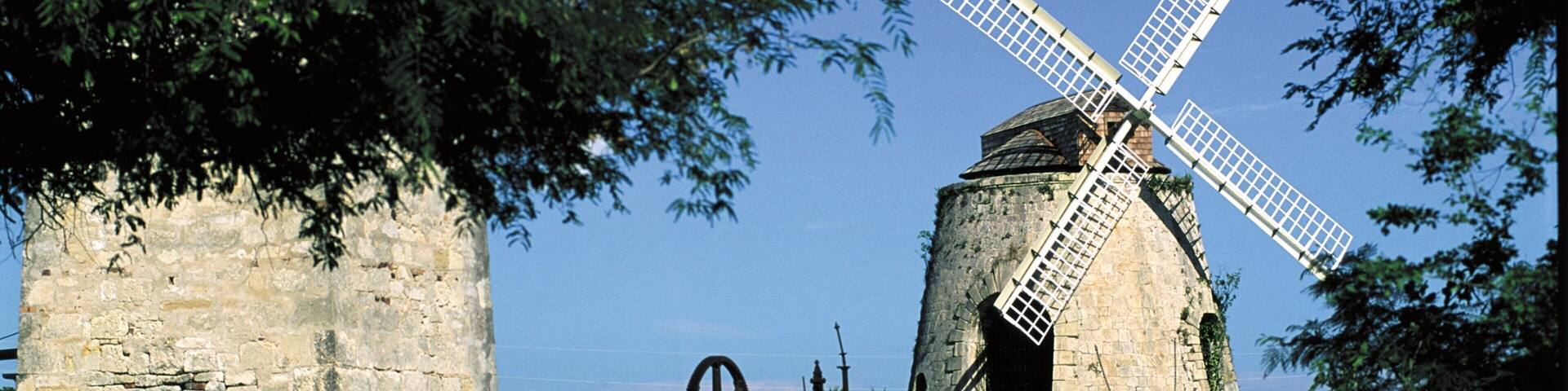 A historic windmill with a large sail, surrounded by stone walls and greenery.