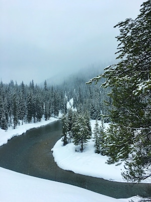 Snowmobiles can really take you off the grid to enjoy nature! #trovember