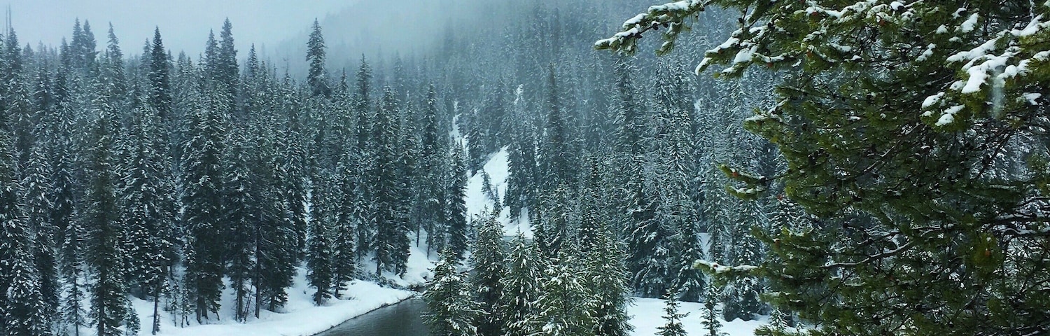 Snowmobiles can really take you off the grid to enjoy nature! #trovember