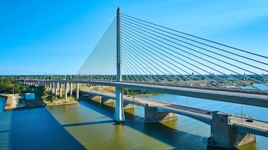 Un puente atirantado con varios carriles, un río debajo y un paisaje urbano al fondo.