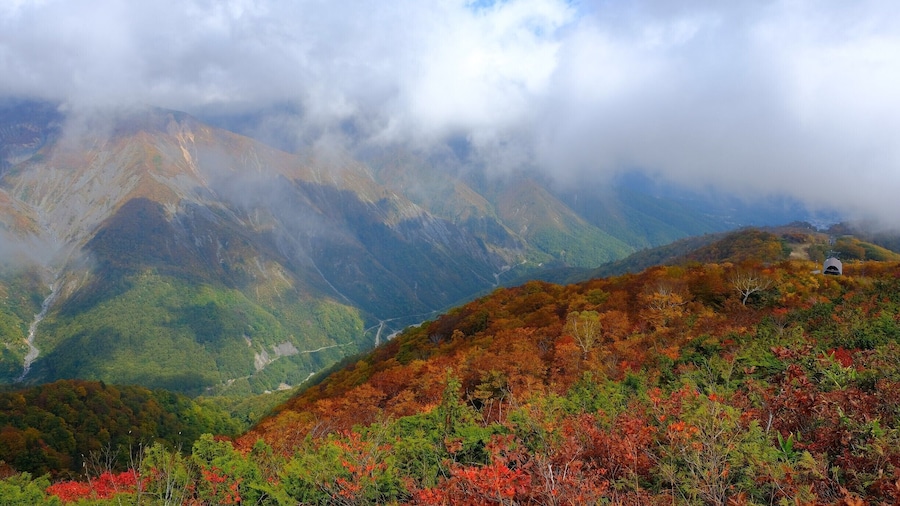 Wintersportpark Hakuba 47